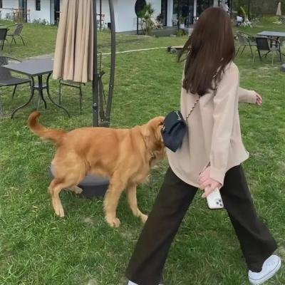 苦茶香